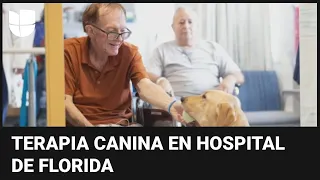 Harmony, la perrita terapista que saca sonrisas a pacientes en un hospital en Florida