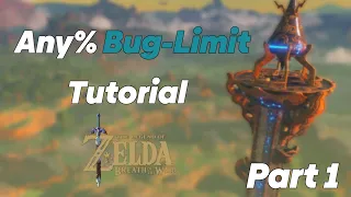 Breath of the Wild Bug-Limit Any% Tutorial || The Great Plateau