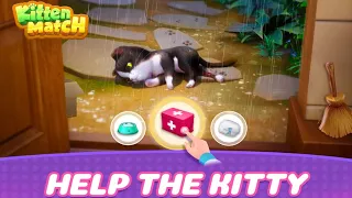 Kitten Match - Raise and play with sweet and cute kittens - Puzzles cats games / Android Game play