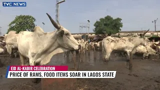 Eid-el-Adha: Price Of Ram, Food Items Soar In Lagos State