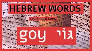 Hebrew Words You Should Know: Goy