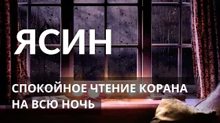 ЯСИН - очень спокойное чтение корана на всю ночь. Слушайте каждый день перед сном.