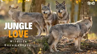 Jungle Love - हिन्दी डॉक्यूमेंट्री | Wildlife documentary in Hindi