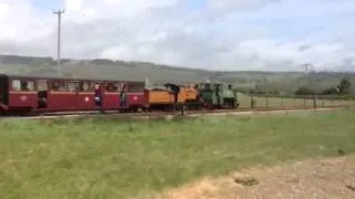 Badger on the RHDR 2015