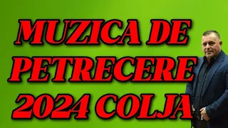 Mix Muzică de Petrecere 2024: Sarbe, Hore & Etno - Colaj Popular de Muzică Tradițională