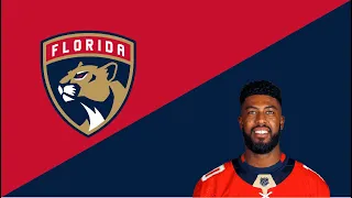 On joue les Panthers de la Floride en ligne (Highlights)