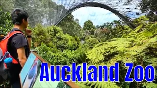 Auckland Zoo, New Zealand | 奥克兰动物园