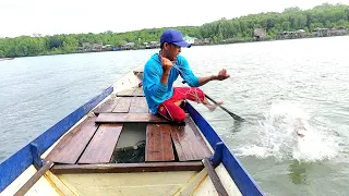 PANCING DAN SIPEMANCING DIBUAT KEWALAHAN OLEH GANASNYA SAMBARAN BARRAMUNDI BERKAWAN...!!!