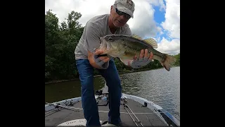 Lake Ozark Big Brush Hog Bass