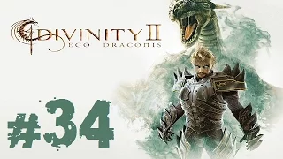 Прохождение Divinity II: Ego Draconis - Часть 34 (Какой же он большой)