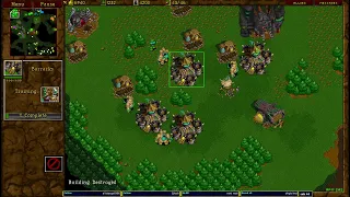 Warcraft 2 1.3.2024