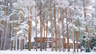 Winter Walk in Snow and Cozy Homes in Forest area after Snow Falling video 4K