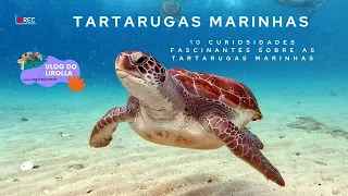 Dez Curiosidades Fascinantes sobre as Tartarugas Marinhas