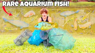 I Found TONS OF RARE Aquarium FISH!