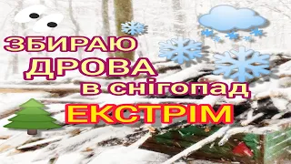 Поїздка в ліс по дрова  стала екстремальною через небачений снігопад Завалило снігом