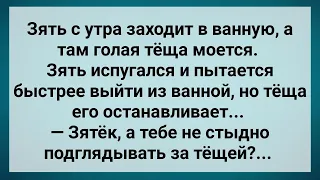 Теща в Ванной Показала Зятю! Сборник Свежих Анекдотов! Юмор!