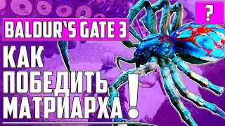 КАК ПОБЕДИТЬ ФАЗОВОГО ПАУКА-МАТРИАРХА ▶ СОВЕТ-ГАЙД ▶ Baldur's Gate 3 ▶ Врата Балдура 3