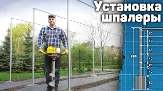 Установка одноплоскостной шпалеры