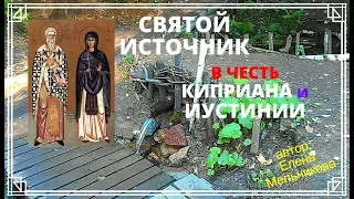 СВЯТОЙ ИСТОЧНИК в ЧЕСТЬ КИПРИАНА и ИУСТИНИИ/ТАРАСКОВО/лето 2017