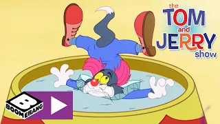 Tom and Jerry | Enge clown | Cartoonito