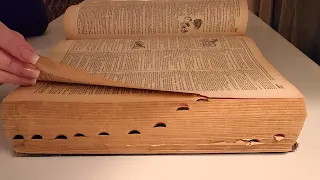 ⏰  3+ hours of ASMR book page turning with rain sounds for sleep, or study!