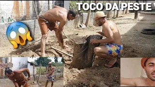 COMO SE LASCAR NUM TOCO . COISA DE DOIDO VIU PAPAI