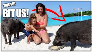 Best excursion from KOH SAMUI | NEW PIG ISLAND | Koh Madsum | Things to do in Koh Samui Thailand