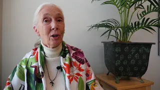 CCNetRally2018 Welcome video JaneGoodall