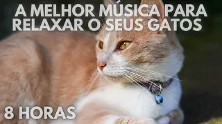 #93🐱8 HORAS🐱 A Melhor Música para Relaxar o seus Gatos 🐱