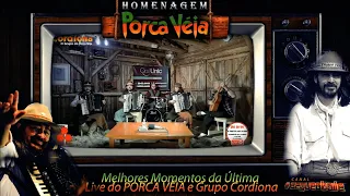 PORCA VÉIA - LIVE HOMENAGEM I Melhores momentos da última apresentação na Live com o Grupo Cordiona