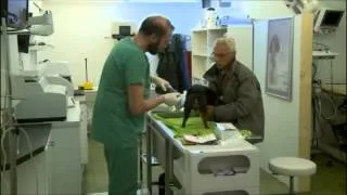 François L'Embrouille - Le veterinaire