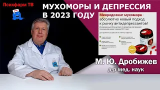 Мухоморы и депрессия в 2023 году.