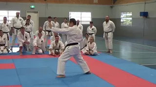 Ananko - shukokai karate kata