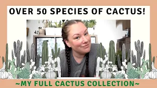 My FULL Cactus Collection! | Over 50 Species of Cactus