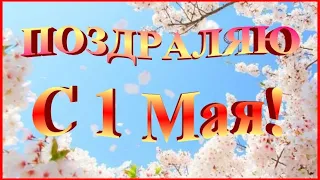 С праздником 1 Мая 🌸 красивое видео поздравление открытка!