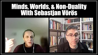 Minds, Worlds, & Non-duality: Interview with Sebastjan Vörös