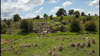 Strangled, Yowie ( Bigfoot ) attack at Braidwood in the late 1800s