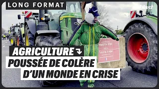 AGRICULTURE : POUSSÉE DE COLÈRE D’UN MONDE EN CRISE