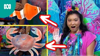 Mermaid Muriels Finds New Friends! | Play School