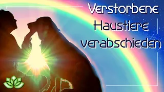 Verstorbene Haustiere verabschieden - Meditation