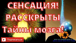 Что такое сознание? Тайны сознания/Тайны мозга/ Бог в нейронах/Документальный фильм