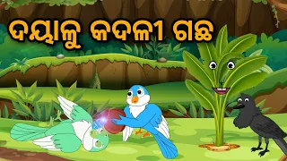 Dayalu Kadali Gacha Tiki Chadhei Gapa || odia gapa  || Bird Story || Moral story || Cartoon story