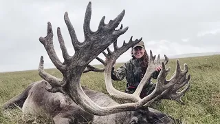 GIANT Record Book Caribou Hunt - Stuck N The Rut 159