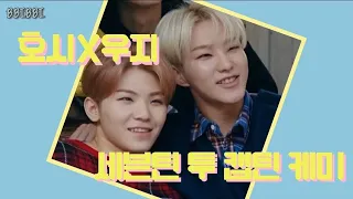 [세븐틴/호시/우지] 세븐틴의 투 캡틴 호시X우지 콤비 모음 #2