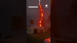 Electrifying Encounter: Lightning Strikes a Tree in Florida! | AccuWeather | AccuWeather