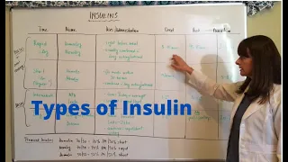 Types of Insulin