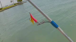 Simple Way To Catch A Lot Of Saltwater Fish (Shore Fishing Fl. With My New Haoqi Eagle Ebike)