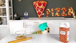 Собака делает ПИЦЦУ |Корги ТАФФИ повар |Dog Makes Pizza