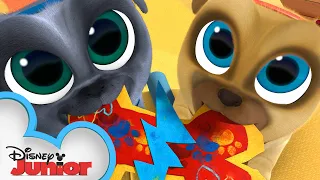 Happy Valentine's Day! 💕 | Puppy Dog Pals | @disneyjunior