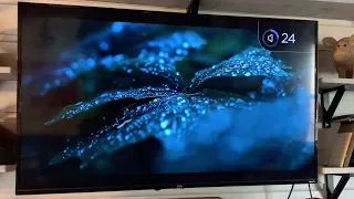 TCL 4-Series 4K UHD HDR  55-inch Roku Smart TV blogger review